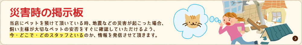 災害時の掲示板