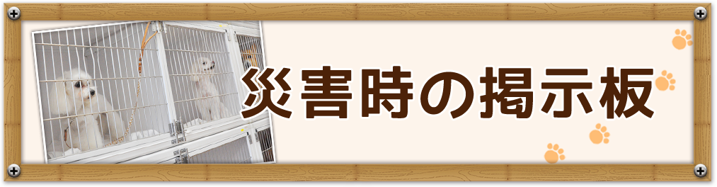 災害時の掲示板