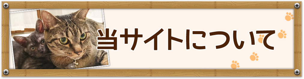 当サイトについて