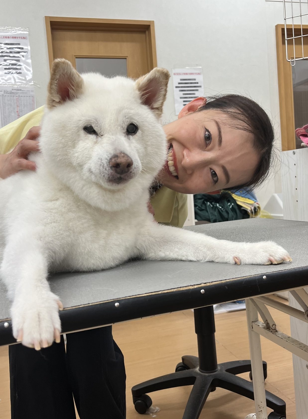 ドライバー　野村