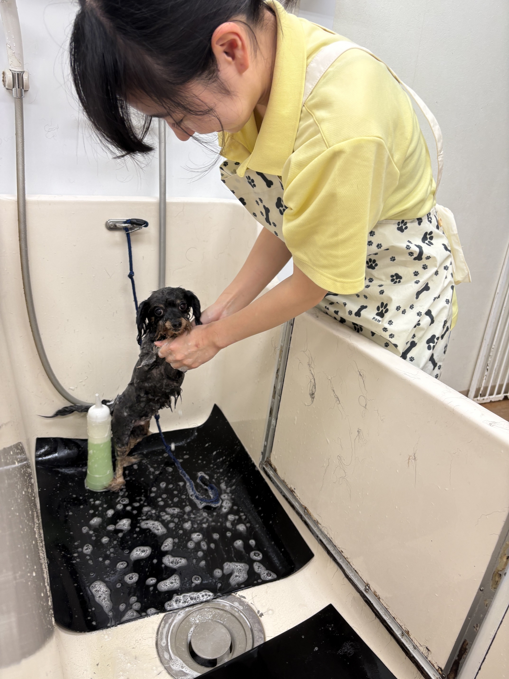 アシスタント 高橋